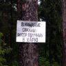 getImageCA68IFYV.jpg