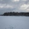 photo_00338.jpg