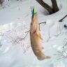 06032010560.jpg