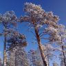 photo_00336.jpg