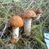 190920111276.jpg