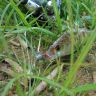 DSC00084.JPG