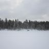 photo_00339.jpg