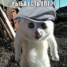  ?.jpg