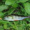DSC00112.JPG