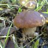 270920111294.jpg
