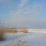 DSC01055.JPG
