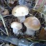 270920111291.jpg