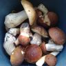 270920111283.jpg