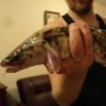 DSC02661.JPG