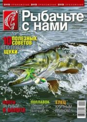    11 (2011 )