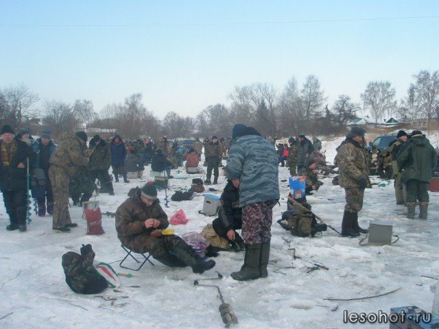   -   - 2012955