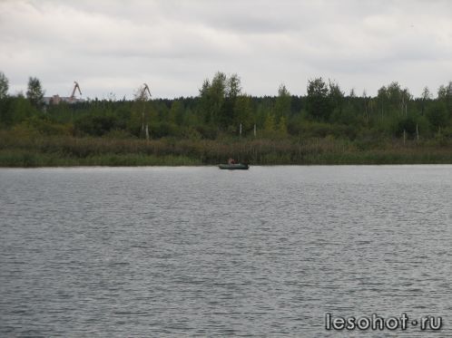-2011 445