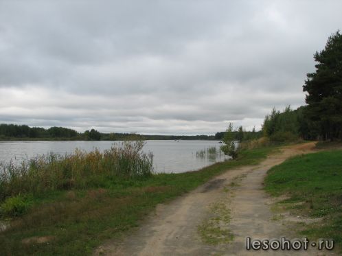 -2011 440