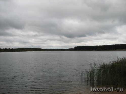 -2011 453