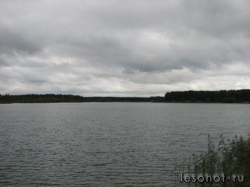 -2011 446