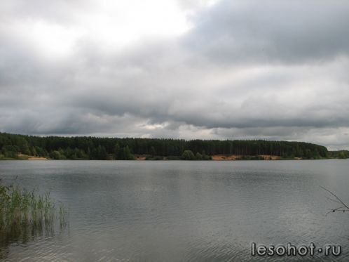 -2011 461