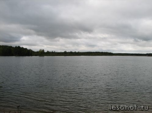 -2011 448