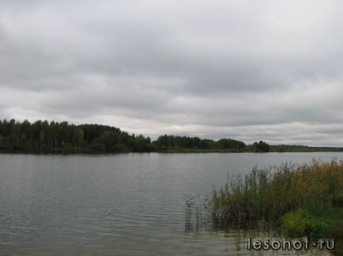 -2011 433