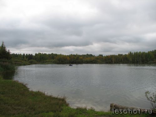 -2011 436
