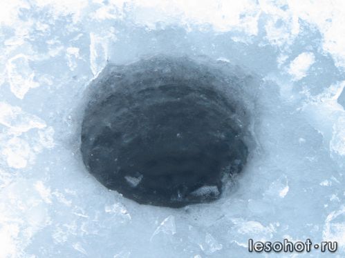 -2012722