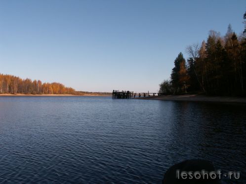 PICT0005