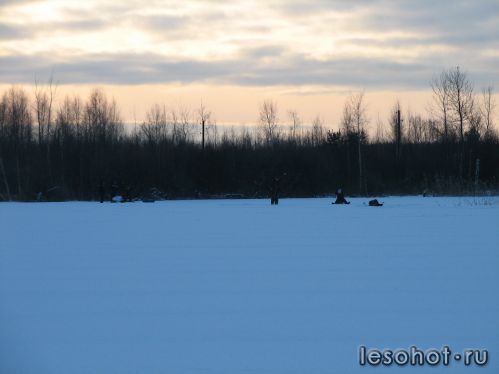 -2012719