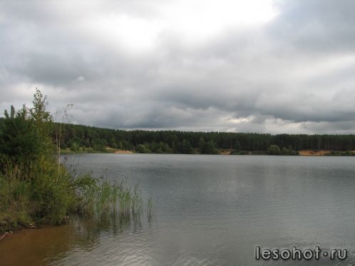 -2011 460