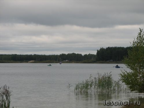 -2011 441