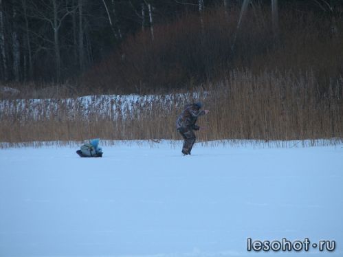 -2012726