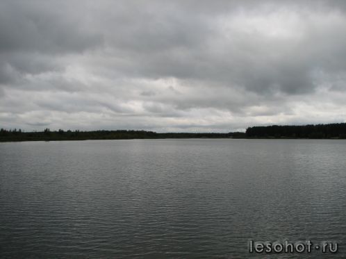 -2011 458