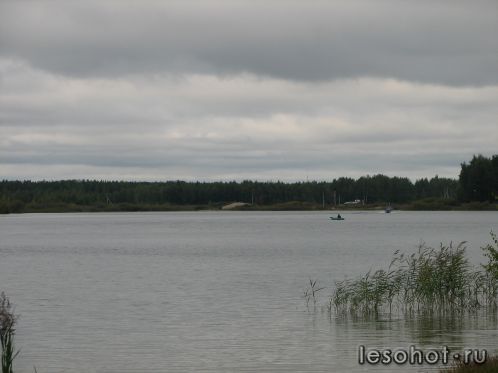 -2011 442