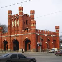 article1138.jpg
