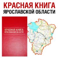 article124.jpg