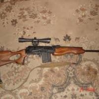 article320.jpg