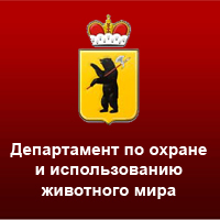 article815.jpg