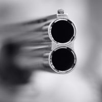 article928.jpg