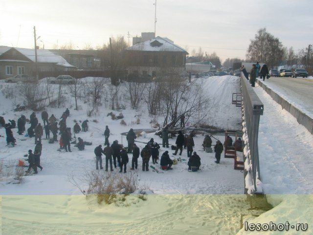   -   - 2012950