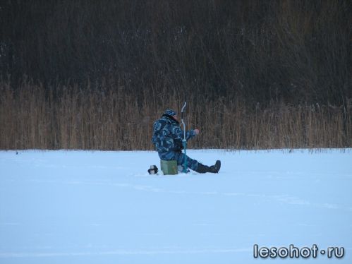 -2012724
