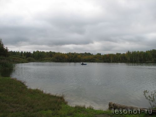 -2011 434