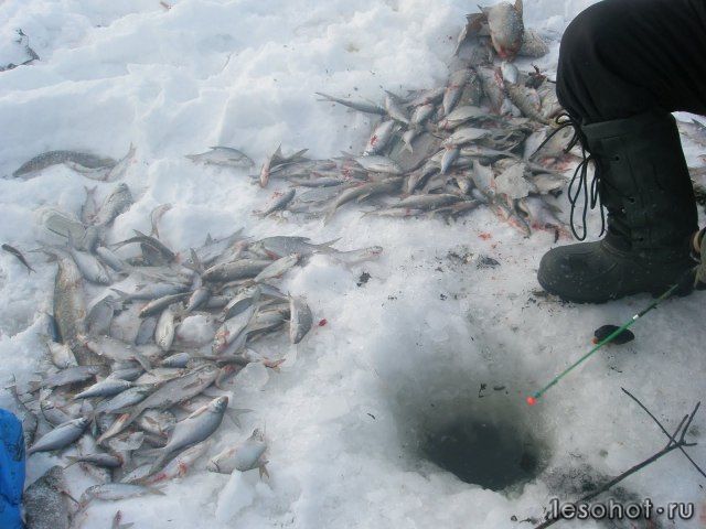   -   - 2012954