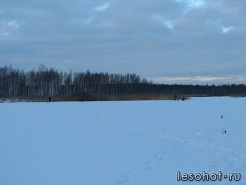 -2012720