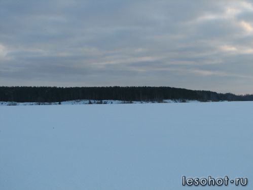 -2012717