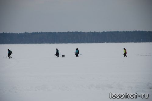  - 201058