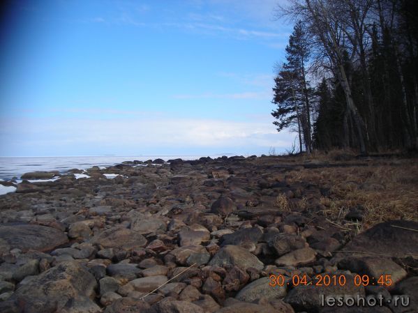 DSCN6948