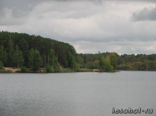 -2011 459