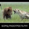getImage