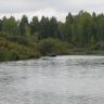 -2011 443