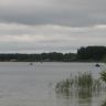 -2011 441