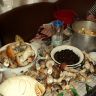 DSC00081